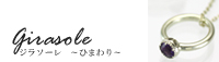 ジラソーレ ひまわり
