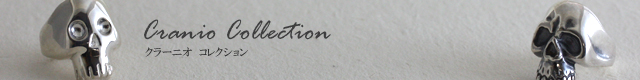クラーニオコレクション シルバースカル